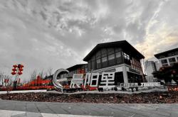 开元体育官方网站包含赛地聚焦——欧联国际比赛日热度飙升，浙江队止住颓势，管理层满意，心理建设被强调的词条